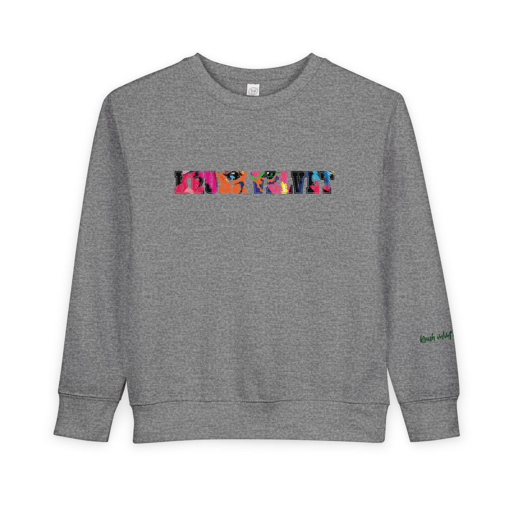 Toddler Sweatshirt